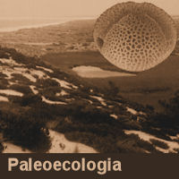 IntegPaleoecol 200