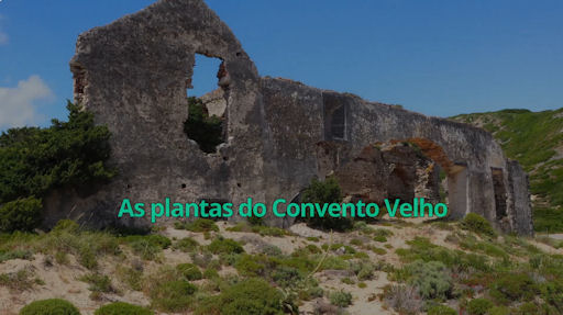 AsPlantasDoConventoVelho 512